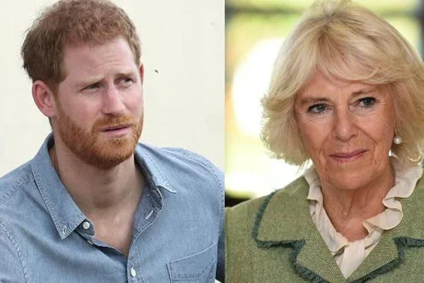 Queen Camilla Has Blocked Prince Harry from Meeting King Charles