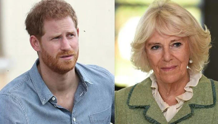 Queen Camilla Has Blocked Prince Harry from Meeting King Charles